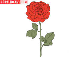 how to draw a rose draw fine art