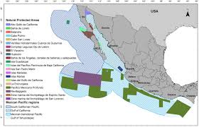 Biodiversity And Conservation Of Sharks In Pacific Mexico