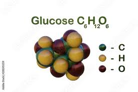 molecular model of glucose or dextrose