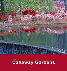 callaway gardens beach erfly center