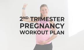 free pregnancy workout plans by
