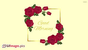 good morning gif red rose greeting