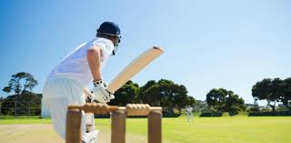 The cricket bats are made for diffe How We Showed Bamboo Cricket Bats Could Usher In A New More Sustainable Epoch For The Sport