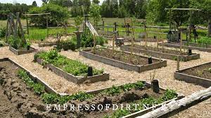 Vegetable Garden Design Layout Ideas