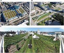 Frontiers Urban Rooftop Agriculture