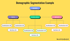 demographic segmentation a complete
