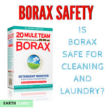 borax laundry detergent safety for