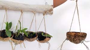 You'll want the outer pot to be narrower at the base than the plastic pot so that excess water will drain out of the clear inner pot into the outer pot. Diy Orchids In Coconut Shell Hanging Planter With Old Tree Branch Holder Youtube
