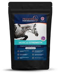 muscle strength premier performance cz