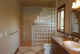 Glass Block Shower Modern Bathroom