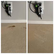 carpet upholstery stain removal in