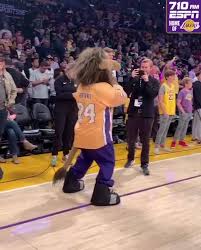 So you're heading to staples center to cheer on lebron james, anthony davis, and the rest of the la lakers. Espn Los Angeles Kings Mascot Bailey Plays Football With Lakers Facebook