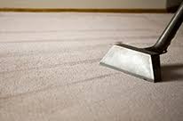 carpet cleaners brevard county