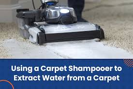 can i use a carpet shooer to extract