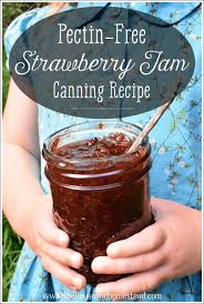 strawberry jam canning recipe