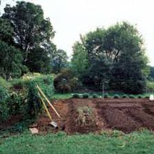 8 steps for making better garden soil