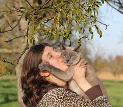 kissing your cat petcarerx