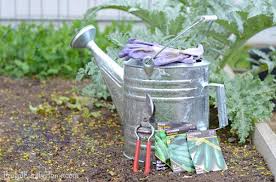 3 Great Garden Gift Ideas For The