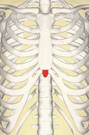 It's the right hand side of your abdomen, just below the level of your ribcage (i.e. Xiphoid Process Pain Lump And Removal