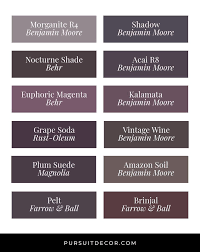 Eggplant Paint Color Purple Paint