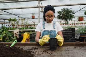 Edible Gardening Calendar What To