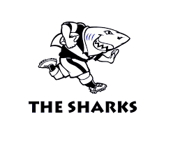 make a wonderful shark logo by