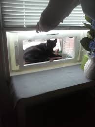 The third comfy idea is window sill perch. Cat Window Patios From Cwaa Crafts Cat Window Boxes And Patios That Fit Into The Window Like An Air Conditioner Our Cat Window Patios Give Your Indoor Cat An Outdoor Experience