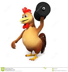 Image result for chicken in a gym animation