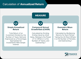 annualized return definition