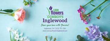 Usted ha llegado a esta página porque es más probable buscando: Conroy S Flowers Inglewood Home Facebook