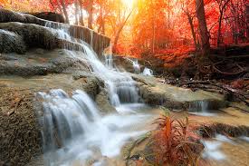 عکس با کیفیت تبلیغاتی آبشار زیبا در جنگل پاییزی - لایه باز طرح ...
