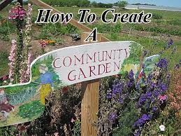 How To Create A Community Garden