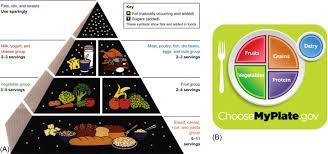 myplate an overview sciencedirect