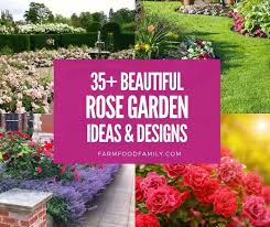 35 best rose garden ideas and designs
