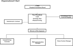 Organization Chart Samples For Healthcare Related
