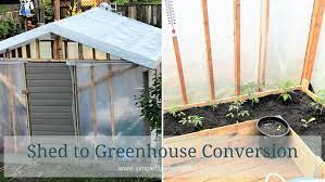 Shed To Greenhouse Conversion Part 2
