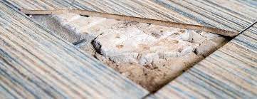 do you have asbestos floor tiles