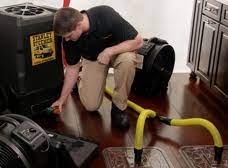 stanley steemer carpet cleaning