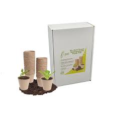 50 X Biodegradable 8cm Pots Carbon Gold