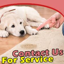 carpet cleaning south pasadena ca