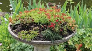 birdbath planter ideas for your garden
