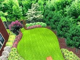 privacy landscaping evergreen trees
