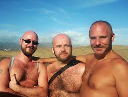 Image result for GAY bEARS