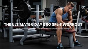 muscle group workout plan bro split