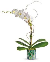 Teleflora S Stained Glass Orchid In