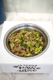 ground beef broccoli kale dog food