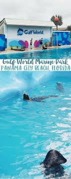 panama city beach what to do when it