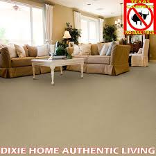 authentic living dixie home
