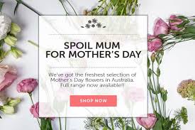 Whatever the season we have a selection of the most popular flowers in a rainbow of colours for any occasion. Fresh Flowers Send Flowers Online We Deliver Across Australia
