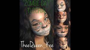 zombie cat halloween makeup beginner